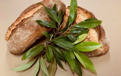 The Bread & Butter Project x IndigiGrow